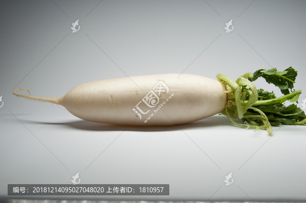 白蘿卜