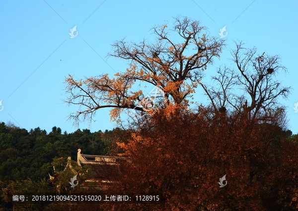 风景