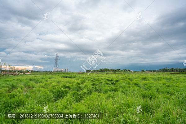 海南夏天午后的田园风光