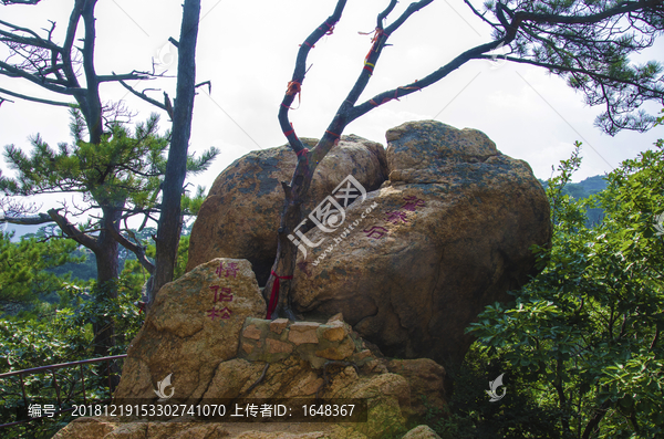 千山无量观九重天鸳鸯石与情侣松