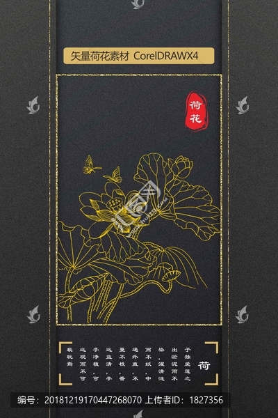荷花
