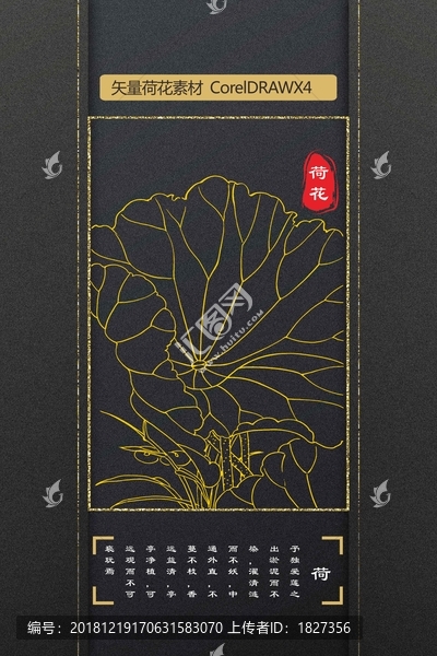 荷花