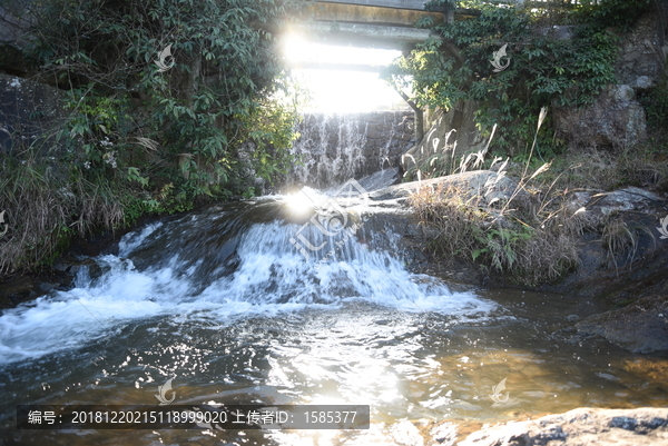 河水