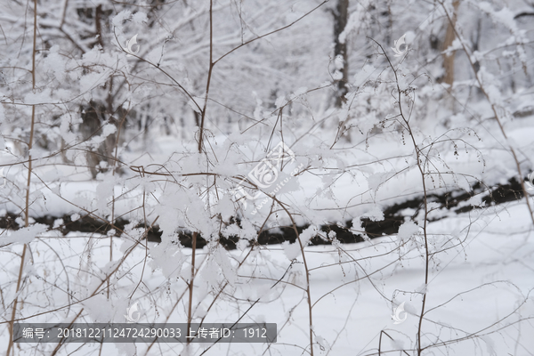 雪景