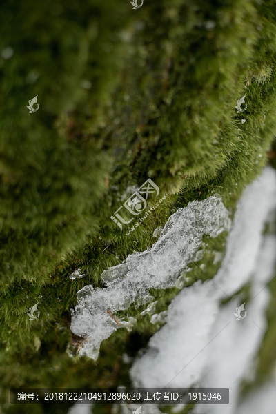 雪景插图