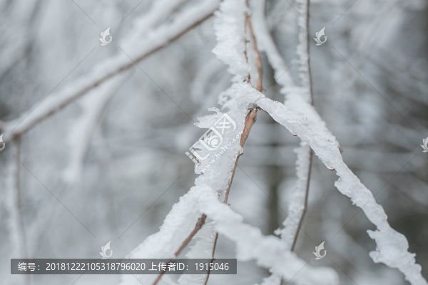 雪景插图