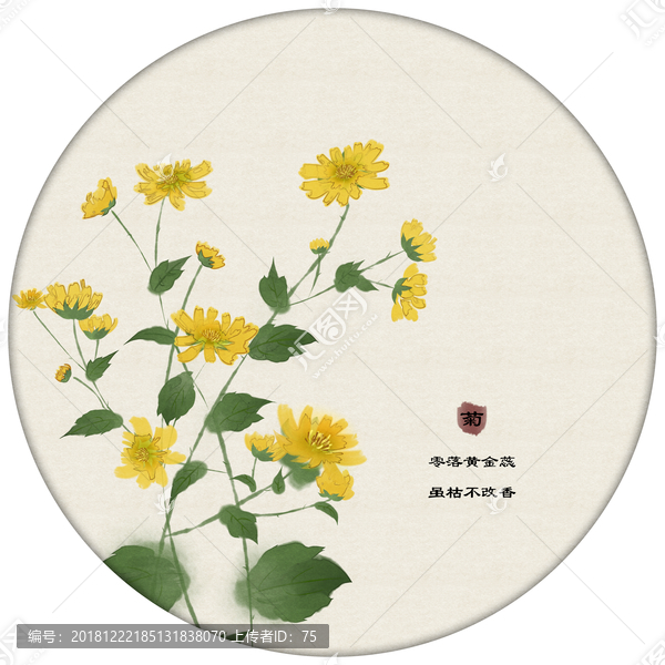 小雛菊水墨菊