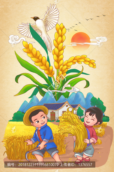 稻米插畫