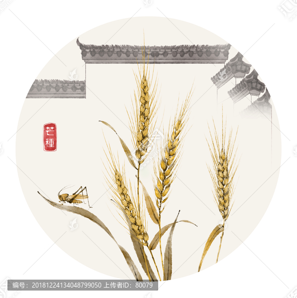芒種