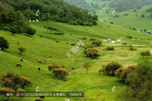 陕西关山草原