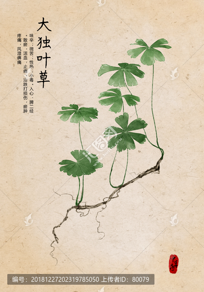 大獨(dú)葉草