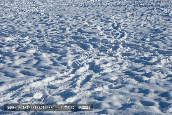 雪地