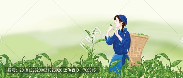 采茶女包裝插畫