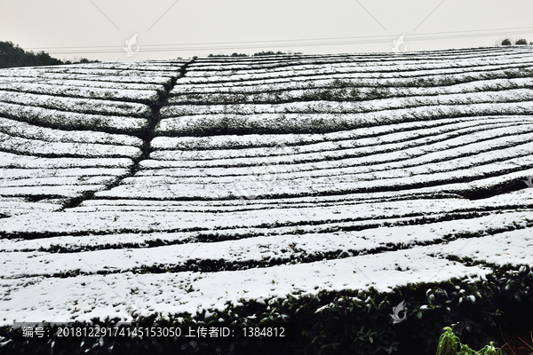 江南雪景