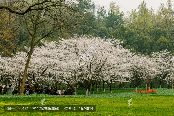 太子湾公园