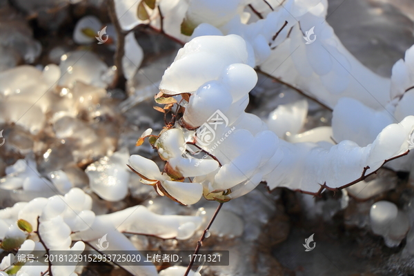 阳光下的冰雪