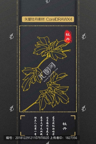 牡丹