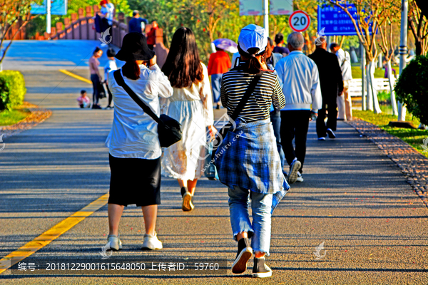 公园道路风景