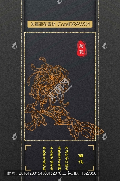 菊花