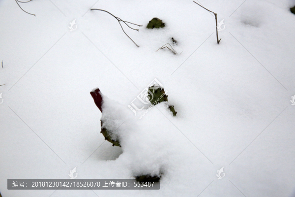 雪景配图