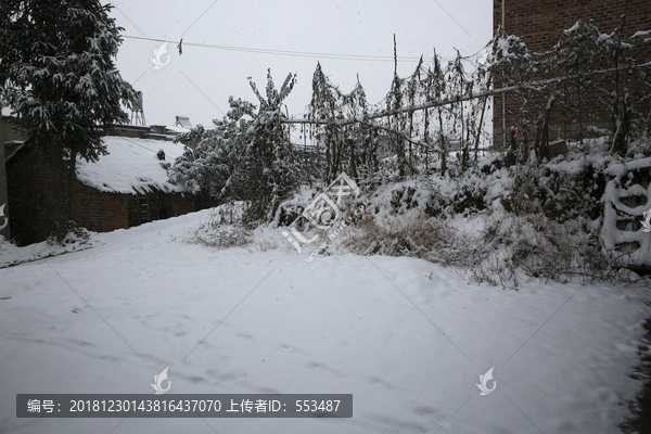 美丽的雪景