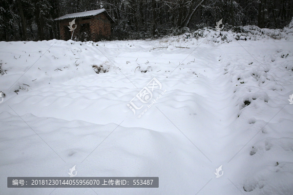 美丽的雪景