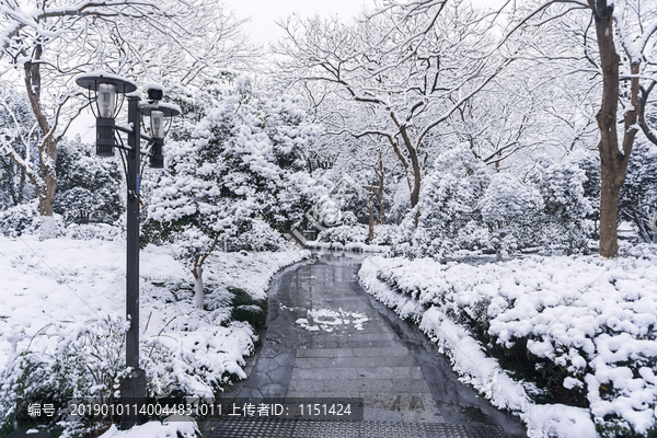 西湖雪景