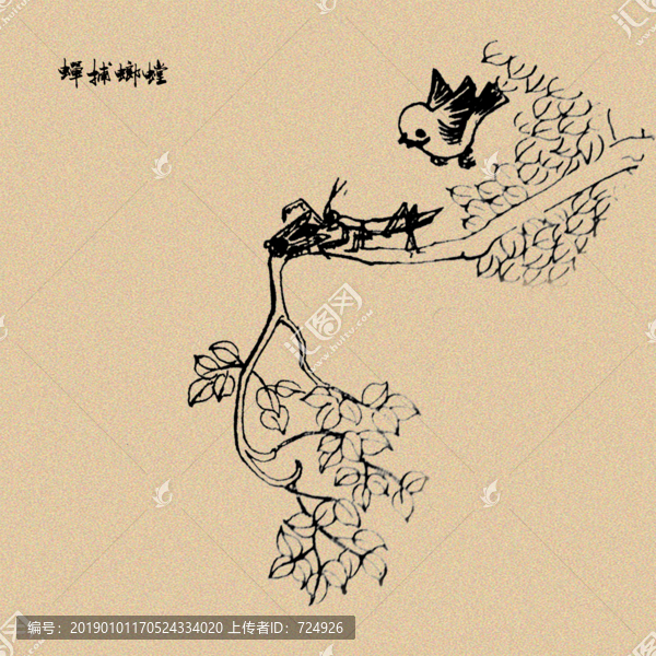螳螂捕蟬線描畫