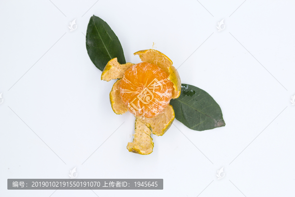 青香橘