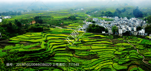 乡村风景