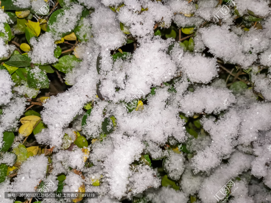 下雪