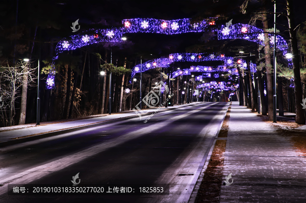 二道白河镇夜景