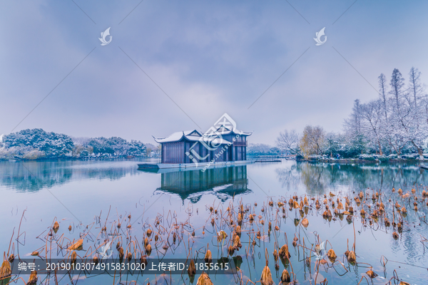 杭州西湖雪景曲院风荷