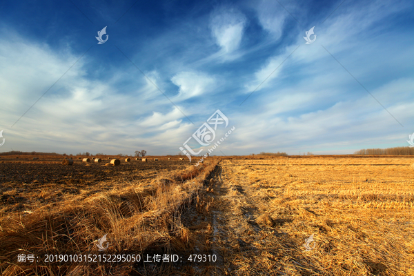 稻草包黑土地北大荒干草包