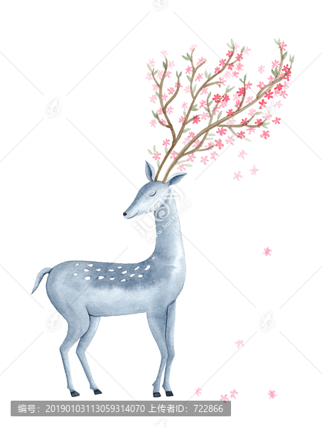 梅花鹿