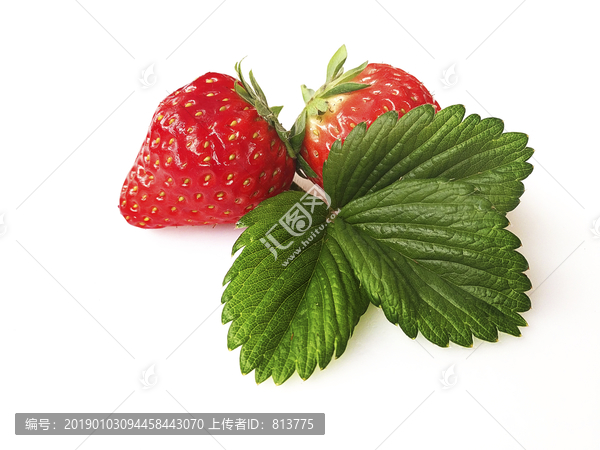 鲜果草莓甜