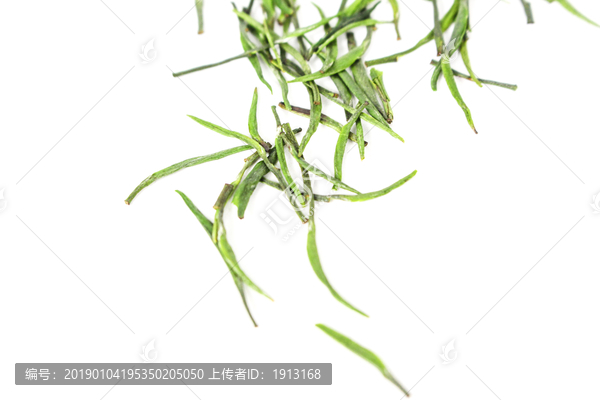 雀舌茶汤茶素材