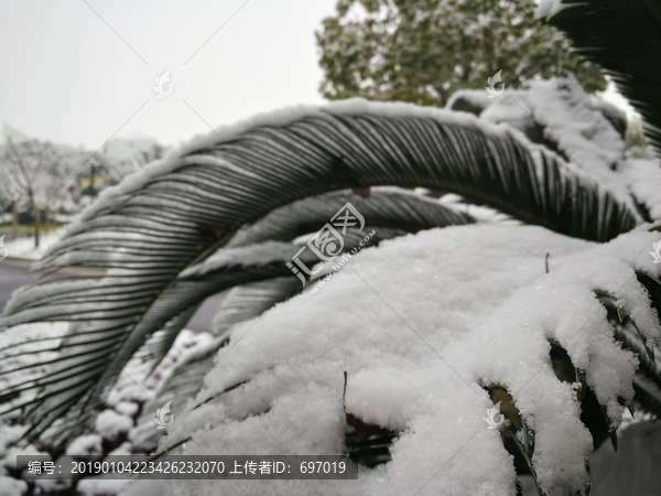 魔都上海朱家角古鎮雪景