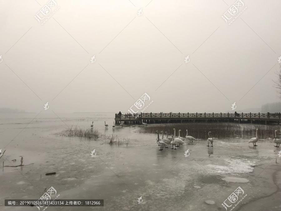 天鹅湖水墨画