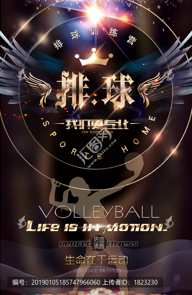 排球