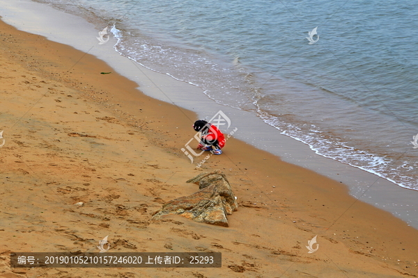 女孩海滩拾贝