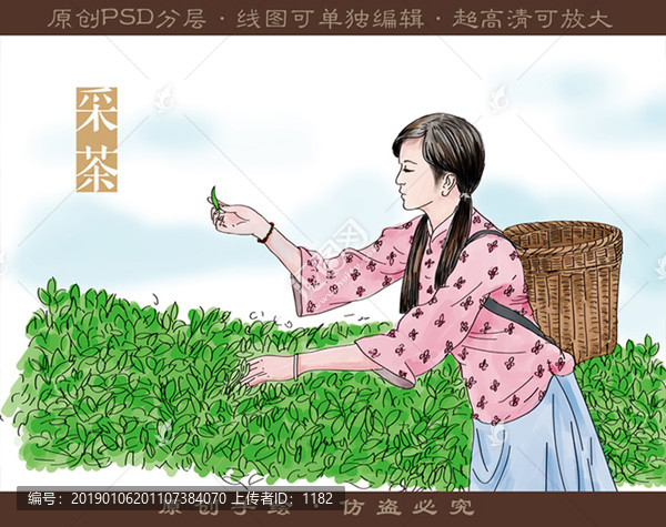 手繪采茶插圖