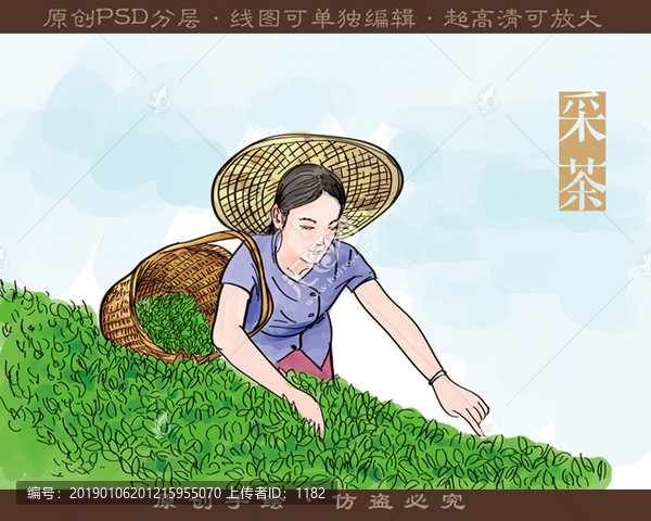手繪采茶插圖