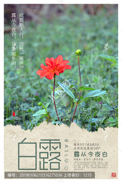 白露