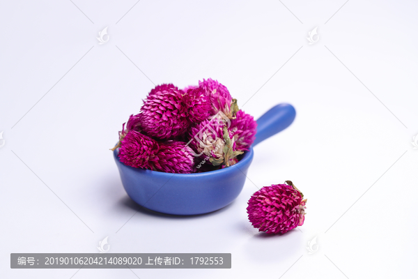 千日红花茶