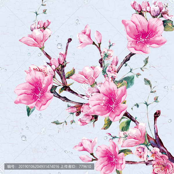 露水藤花
