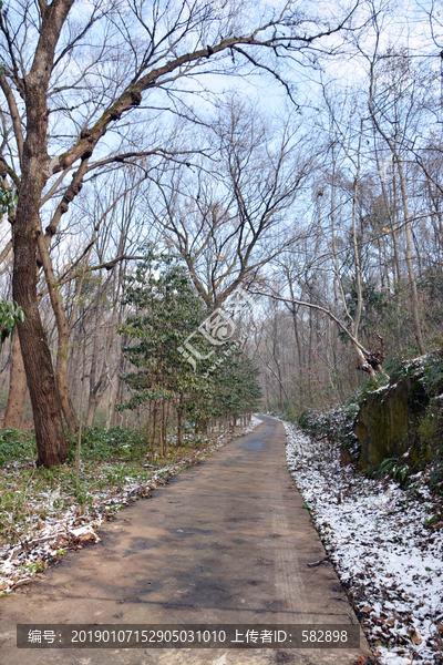 寂静山林小路