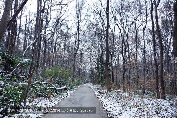 雪后山林小道