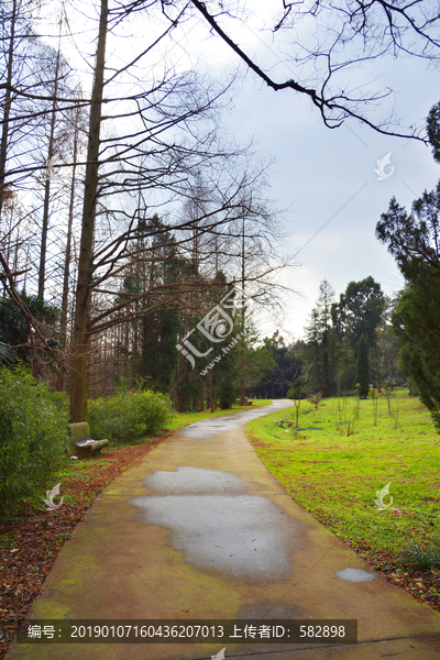 寂静小路