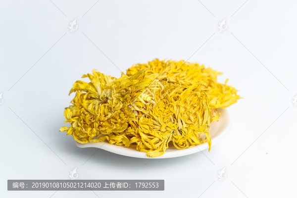 金丝皇菊